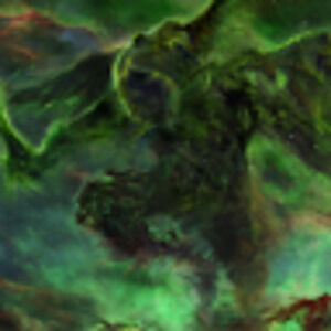 Meet your Posher, Austin